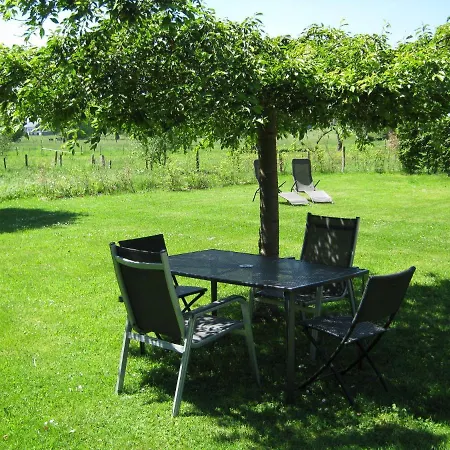 Cosy In With Terrace And Garden