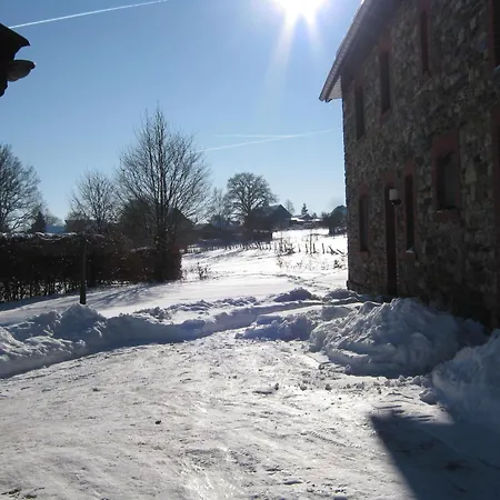 Apartament Cosy In With Terrace And Garden Born