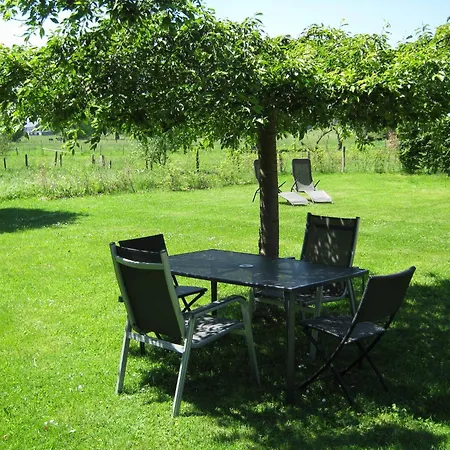 With Garden In Apartment Born