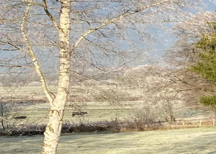 Apartament Cosy In With Terrace And Garden