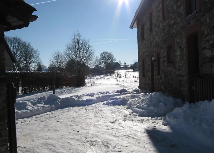 Apartament Cosy In With Terrace And Garden Born